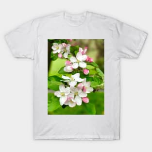 Apple Blossoms T-Shirt